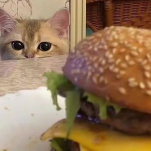 农村妇女BBBBBBr片
